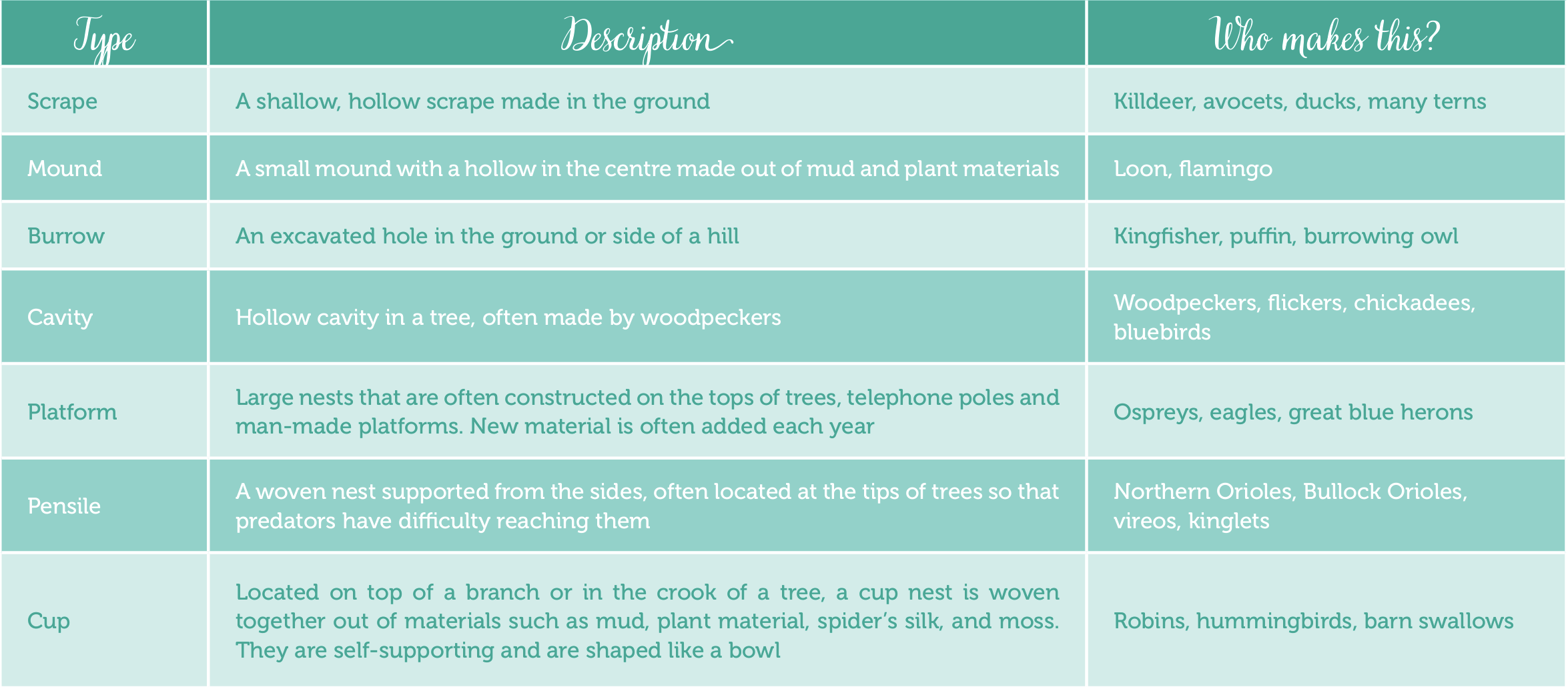 a table that lists different types of nests